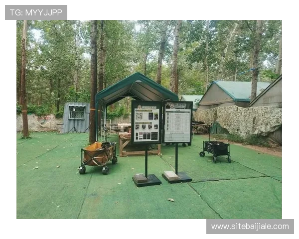 og真人网站欢迎你，尽情体验多样化的真人游戏项目，感受最真实的互动和最优质的服务体验