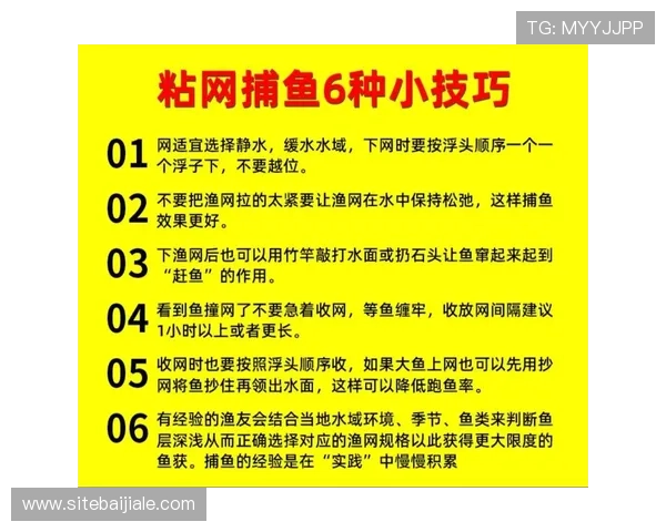 深入分析ag捕鱼稳赚方法帮助玩家实现长期稳定盈利