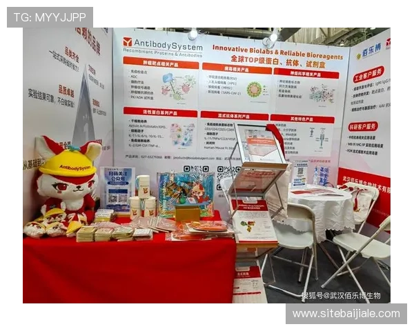 博佰百家乐新手入门指南，快速掌握游戏规则与常用技巧