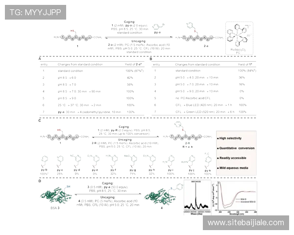 如何在利澳真人平台中实现稳定盈利掌握实用策略提升游戏技巧