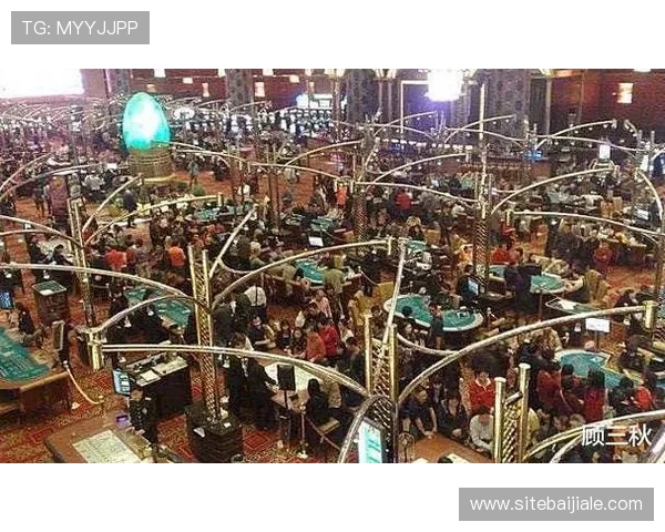 真人十大赌场最新排名，优质真人荷官游戏和丰富娱乐内容一站式体验